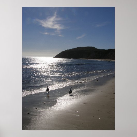 Dag bij het strand poster (Voorkant)