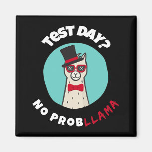 Dag Geen Problemen Grappig Testen Llama Ontwerp Magneet