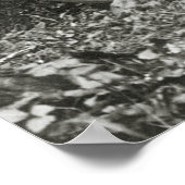 Dag in Big Lagoon, 1908 Poster (Hoek)