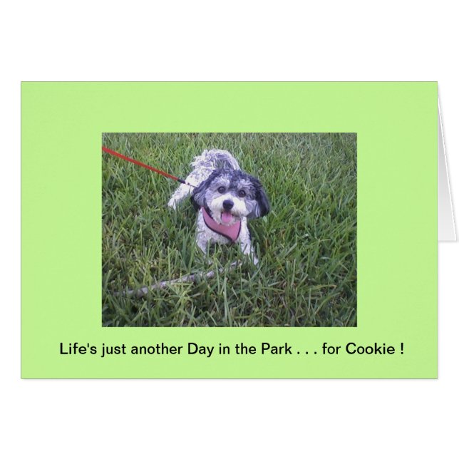 Dag in het Park (Voorkant Horizontaal)