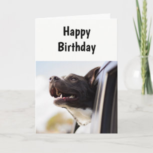 Dag na geboorte Zoals geen andere Humor Dog Kaart