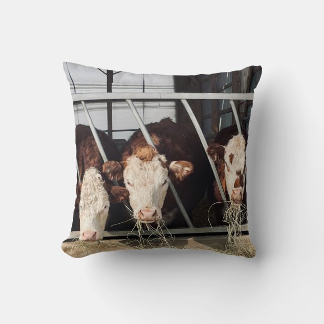 Dag op de boerderij kussen (Voorkant)