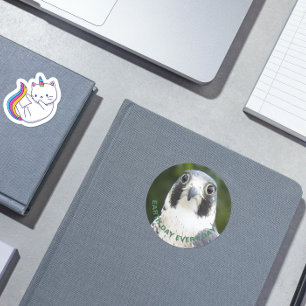 Dag van de Aarde Elke dag Peregrine Falcon Foto Ronde Sticker