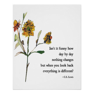 Dag voor dag CS Lewis Perfect Poster
