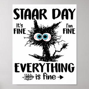 Dag Zwart Kat Leraar Student Kinder Staar Testen D Poster