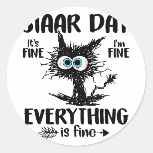 Dag Zwart Kat Leraar Student Kinder Staar Testen D Ronde Sticker