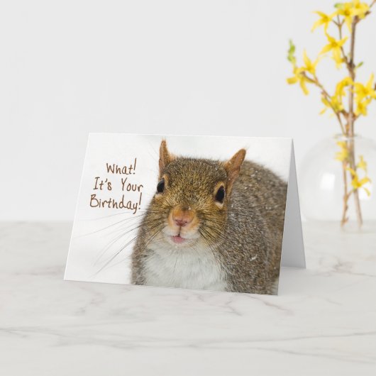 Dagavond, Belated, Squirrel verrast Kaart (Gele Bloem)