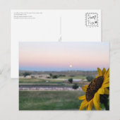 Dagdromen bij Dusk Sunflower Prarie Briefkaart (Voorkant / Achterkant)