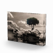 Dagdromen Fotoblokken (Rechts)