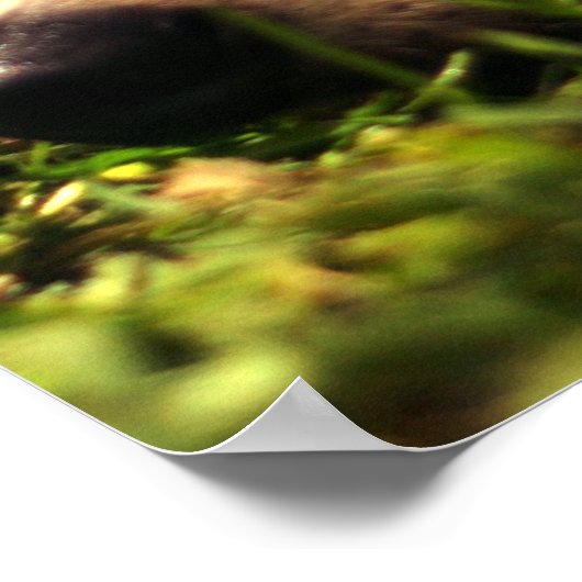 Dagdromen Poster (Hoek)