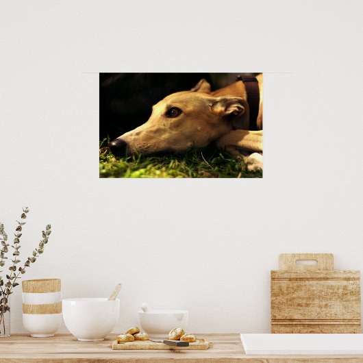 Dagdromen Poster (Keuken)