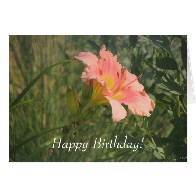 Dagelijks in de zon (Voorkant Horizontaal)