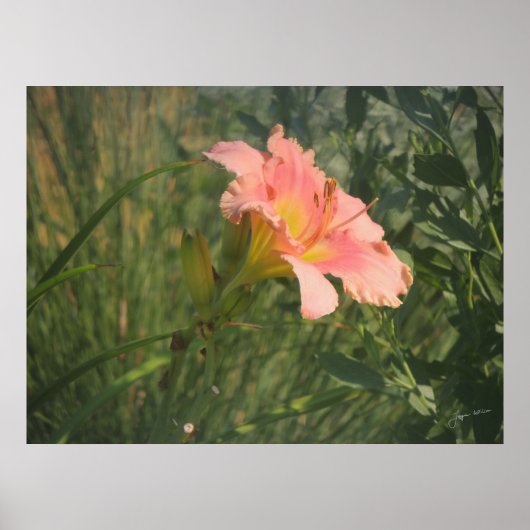 Dagelijks in de zon poster (Voorkant)