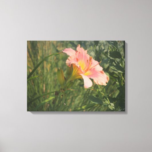 Dagelijks in het Sun Wrapped Canvas Afdruk (Voorkant)