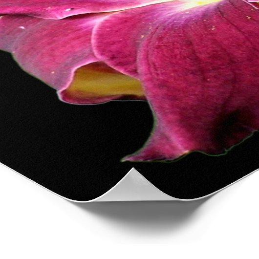 Dagelijkse aanloop poster (Hoek)