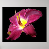 Dagelijkse aanloop poster (Voorkant)