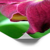 Dagelijkse aanloop poster (Hoek)