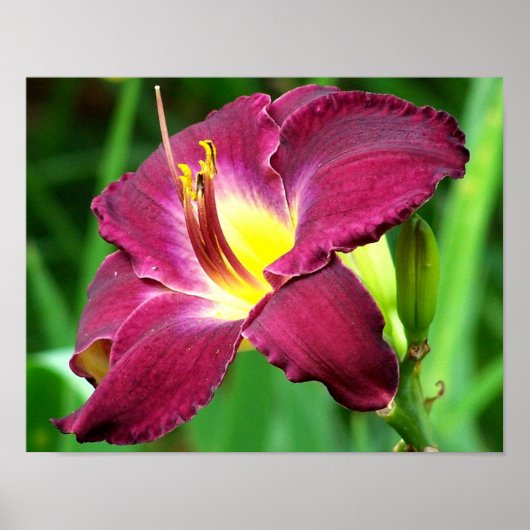 Dagelijkse aanloop poster (Voorkant)