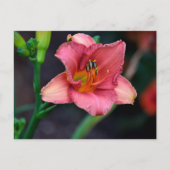 Dagelijkse bloem briefkaart (Voorkant)