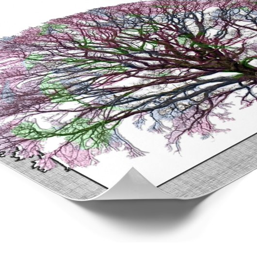 Dagelijkse Conessies Poster (Hoek)