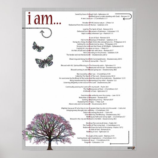 Dagelijkse Conessies Poster (Voorkant)