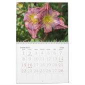 Dagelijkse kalender (Feb 2026)