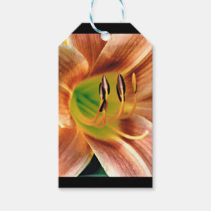 Dagelijkse macro cadeaulabel