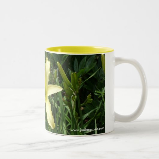 Dagelijkse mok (Rechts)