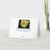 Dagelijkse ventilator/pasta Lemon Cream Yellow / Kaart (Achterkant)