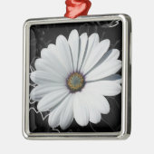 Dagen en schaduwen van grijs metalen ornament (Links)