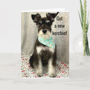 * DAGEN EN ZICHTIGHEID DE HELE DAG * * * ZWAARDAG KAART