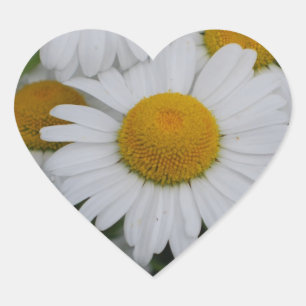 dagen hart sticker