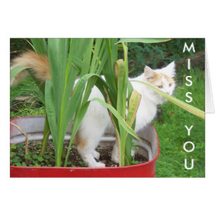 DAGEN ZIJN DREARIG/NACHTEN ZIJN LANG **MISS U**