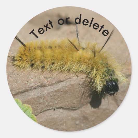 Dagger Moth Caterpillar Nature Personalized Ronde Sticker (Voorkant)