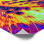 dagglanzend poster (Hoek)