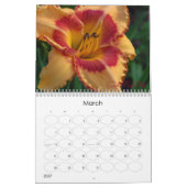 Dagkalender 2011 kalender (Mar 2027)