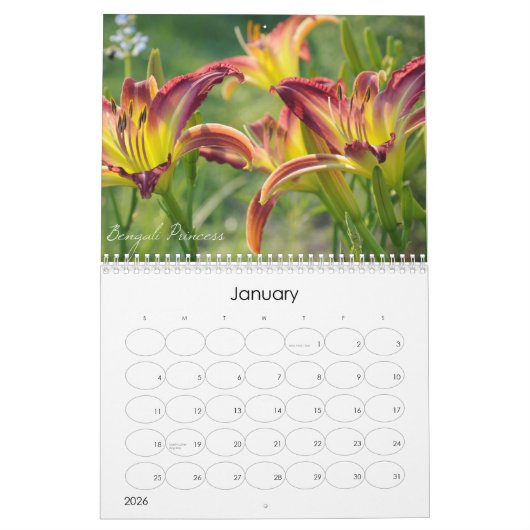 Dagkalender 2011 kalender (Jan 2026)