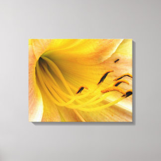Daglelie - canvas afdruk