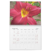 Daglio 2010 kalender (Feb 2026)