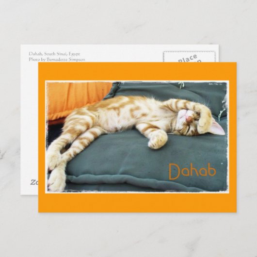 Dahab Cat Daze Briefkaart (Voorkant / Achterkant)
