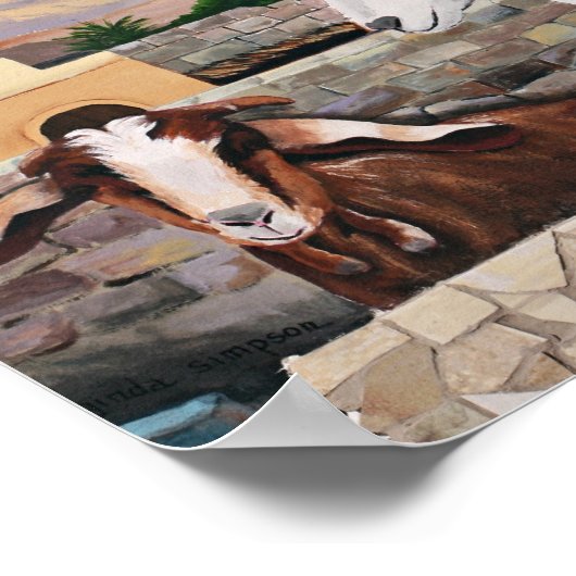 Dahab Goats Poster (Hoek)