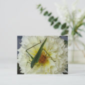 Dahlia 1 - opgeleide brainfart briefkaart (Staand voorkant)