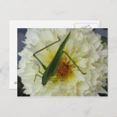 Dahlia 1 - opgeleide brainfart briefkaart (Voorkant / Achterkant)