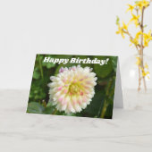 Dahlia blanche et rose sur une carte d'anniversair (Fleur jaune)