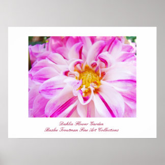 Dahlia Bloementuin Fijne Kunst Prints Collecties