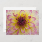 Dahlia Briefkaart (Voorkant / Achterkant)