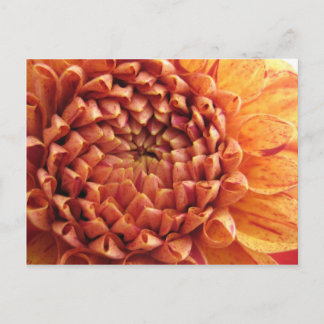 dahlia - briefkaart