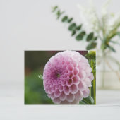 Dahlia Briefkaart (Staand voorkant)