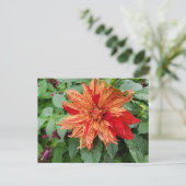 Dahlia Briefkaart (Staand voorkant)