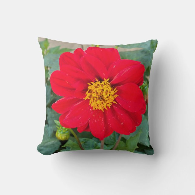 Dahlia Bright Red Kussen (Voorkant)